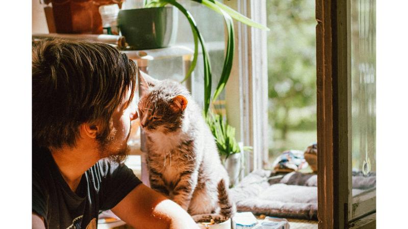 飼い主の男性と猫が見つめ合っている写真