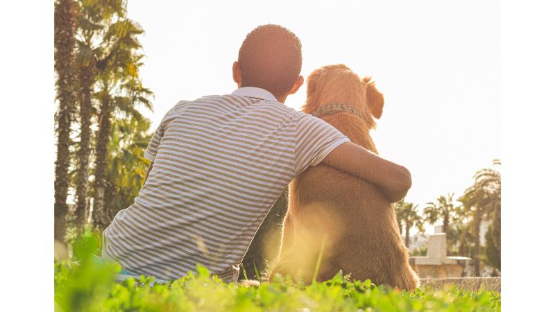 夕日を見ながら犬と飼い主が肩を組む後ろ姿