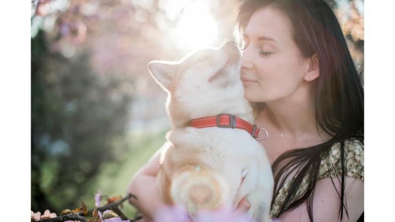 飼い主い抱っこされる犬