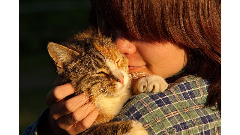 飼い主にだっこされている猫