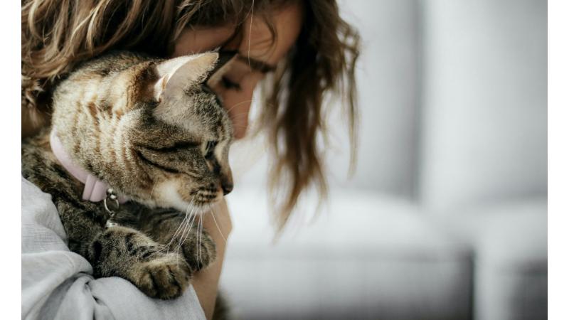 猫を抱きしめる女性と猫の横顔