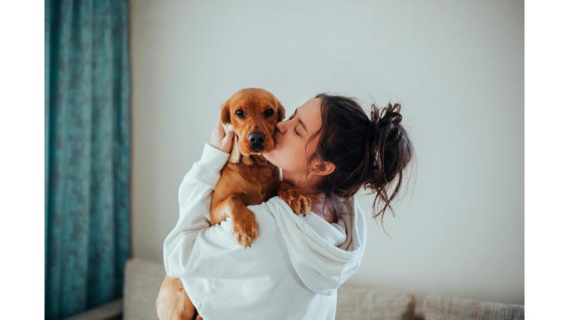 飼い主に抱き上げられる犬