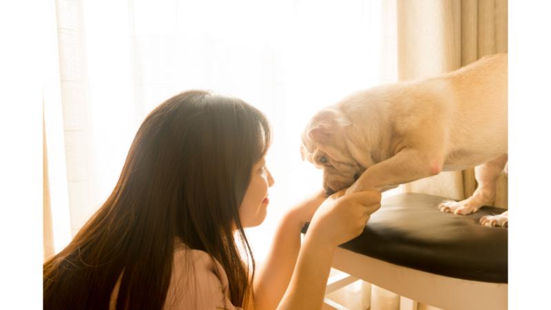 飼い主と両手をつなぐ犬の写真