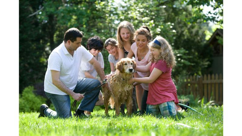家族全員で犬を綺麗にしている様子