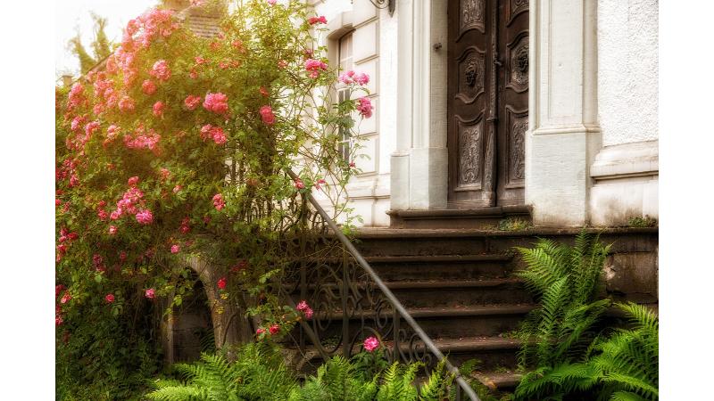ピンクの花が咲き誇る建物の入り口