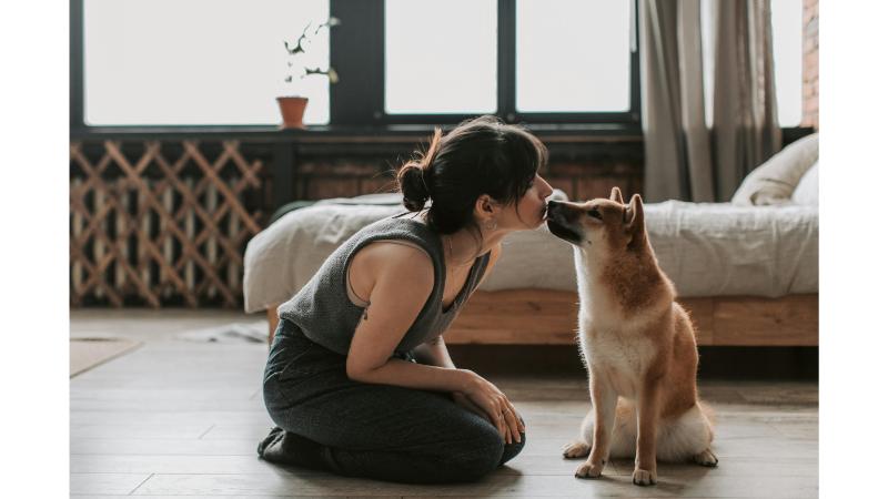 飼い主と犬のキス