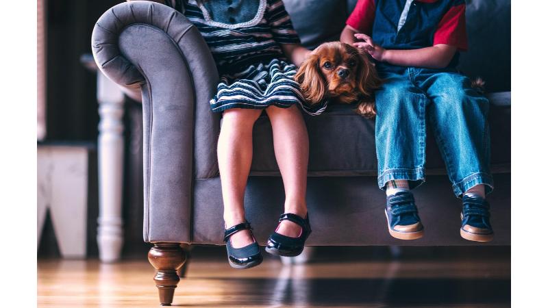 ソファに座る男の子と女の子の足とその間に座る茶色の犬