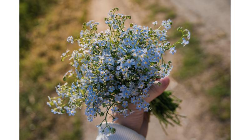 道端で集めた様な、小さい水色の花を束ねて女の子が握りしめてる。