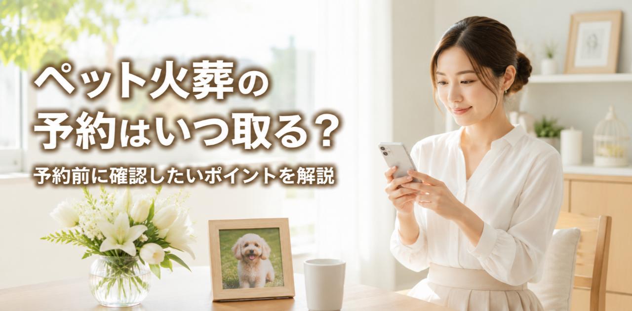 光が入る穏やかなリビングに座り携帯で検索をする女性