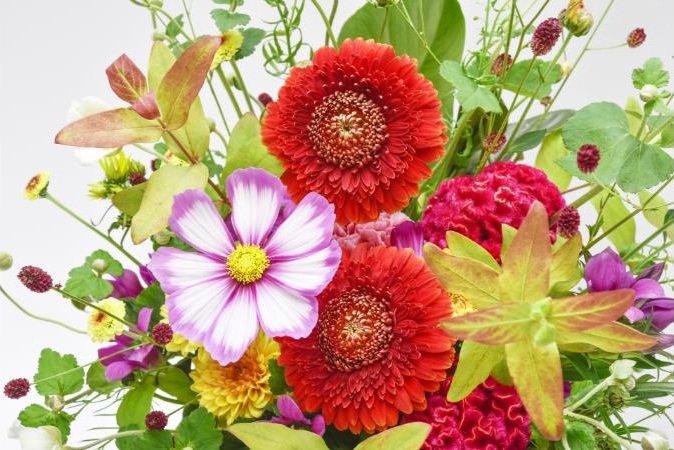 コスモスやガーベラの生け花