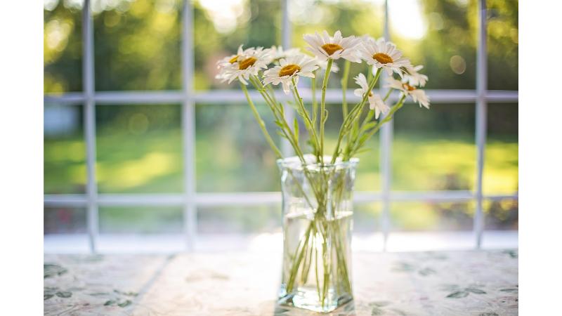 透明の花瓶に入った白い花