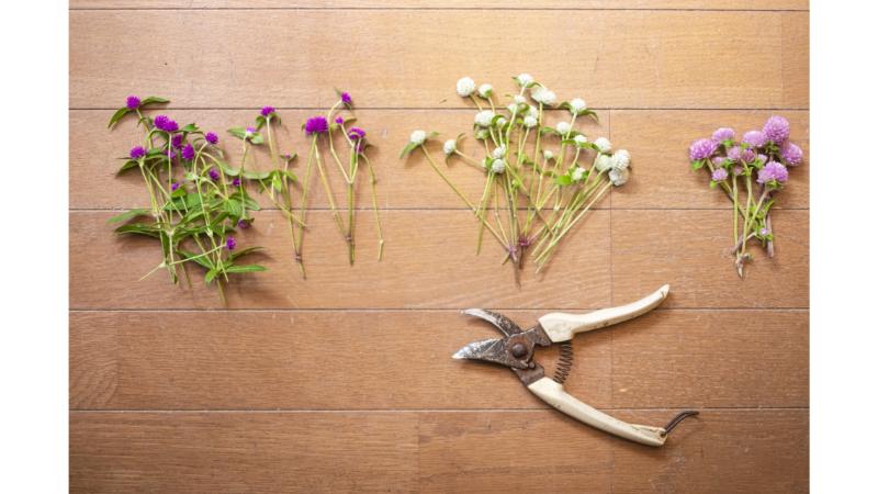 茎が短く切られた花とハサミ