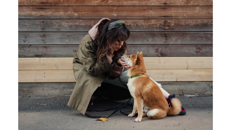 柴犬と向かい合い顔を近づかせる女性