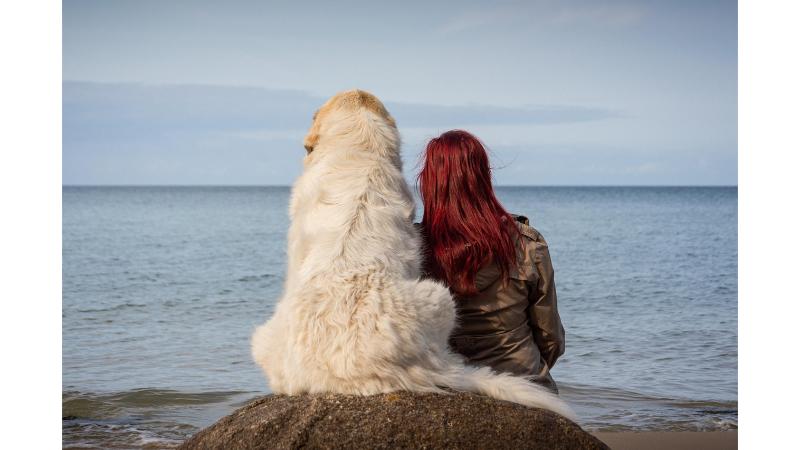 海を見つめる白い大型犬と赤髪の女性の後ろ姿