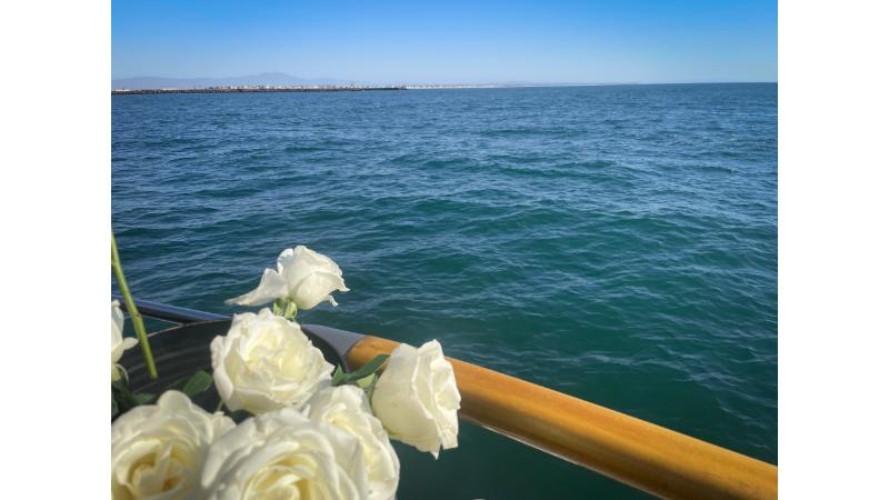 海と白いバラ