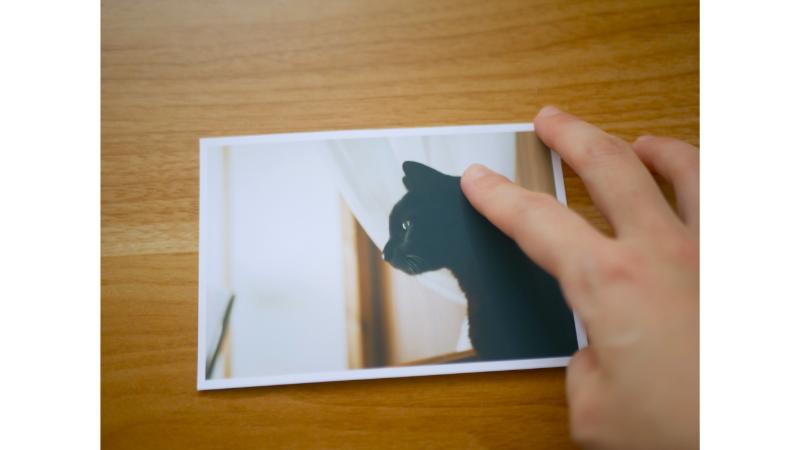 黒猫が写った写真をなぞる指