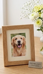 犬の遺影