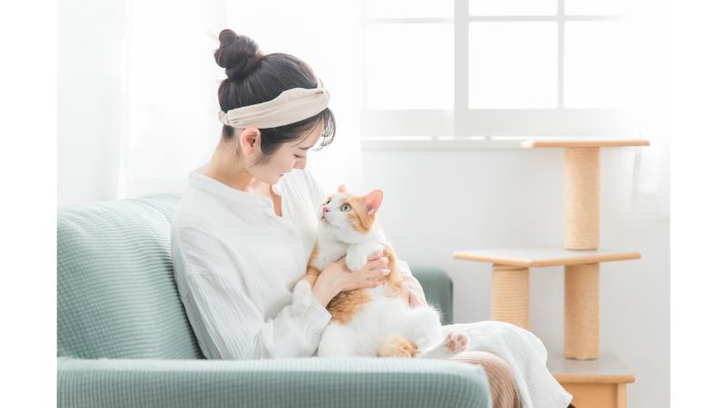 猫を膝の上に乗せて抱く女性