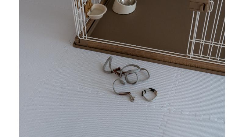 ゲージと首輪