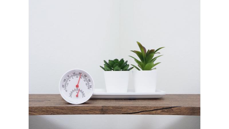 温湿度計と2つの小さな観葉植物
