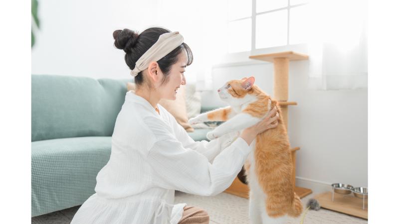茶色の猫を抱える女性の横顔