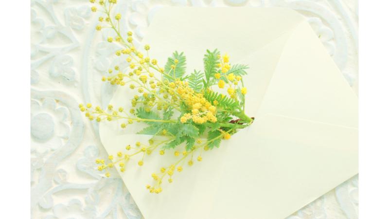 便箋から顔を出すミモザの花
