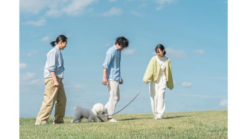 芝生の上を散歩する3人と犬