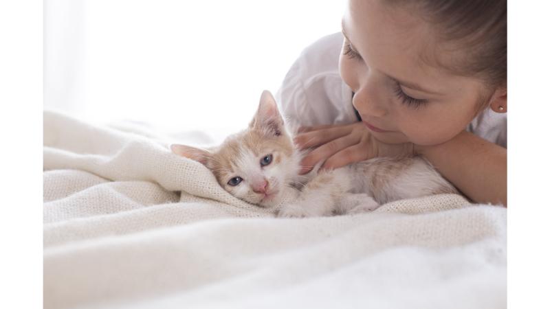 子猫と女の子