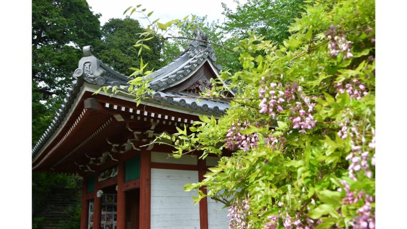 寺院とつぼみの付いた木