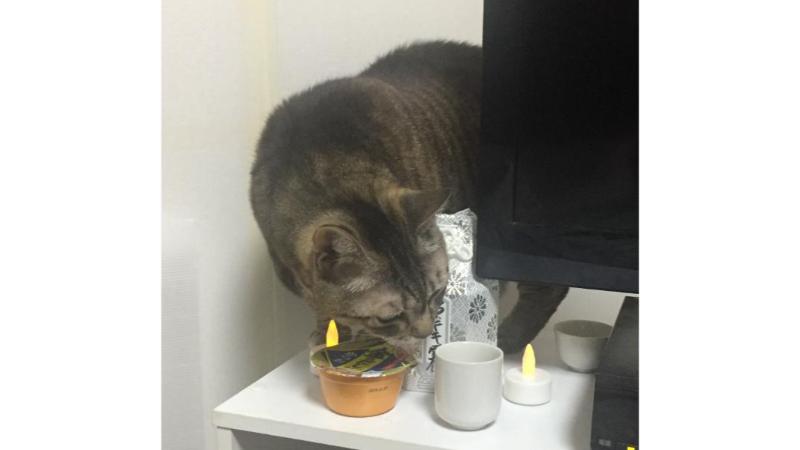 キキの骨壺を心配そうに見るカルア
