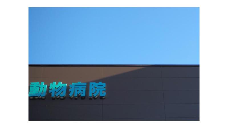 動物病院の建物イメージ写真