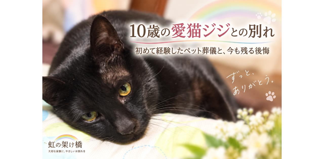 寝ながらコチラを見る黒猫のジジ