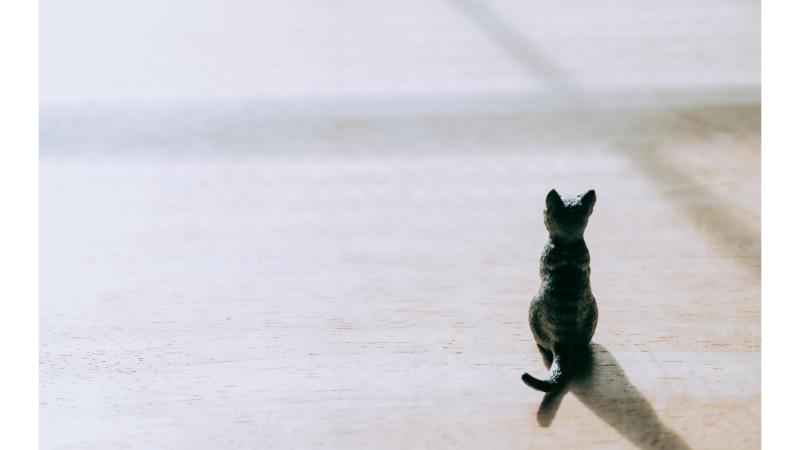 床にポツンとおかれた猫のフィギア