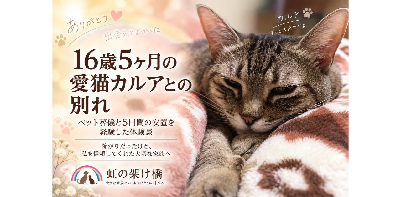 カルアが手を伸ばして寝ている写真にタイトルを記載